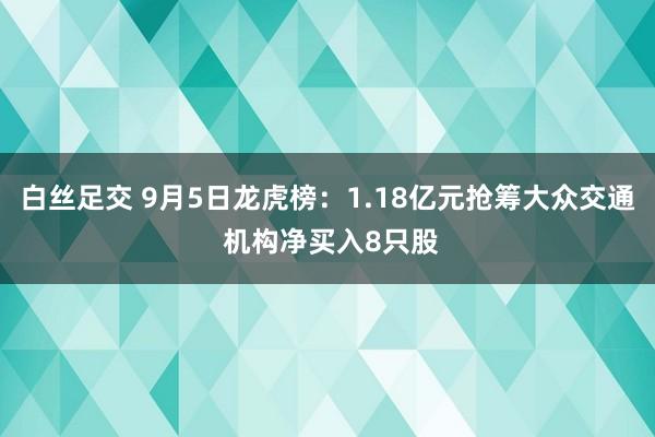 白丝足交 9月5日龙虎榜：1.18亿元抢筹大众交通 机构净买入8只股