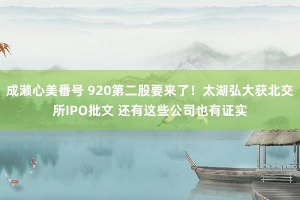 成濑心美番号 920第二股要来了！太湖弘大获北交所IPO批文 还有这些公司也有证实