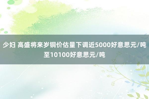 少妇 高盛将来岁铜价估量下调近5000好意思元/吨至10100好意思元/吨