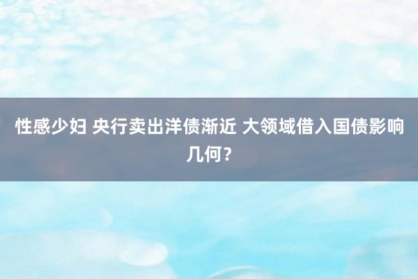 性感少妇 央行卖出洋债渐近 大领域借入国债影响几何？