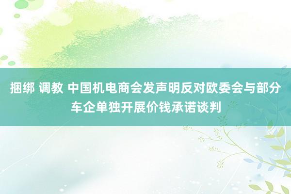 捆绑 调教 中国机电商会发声明反对欧委会与部分车企单独开展价钱承诺谈判