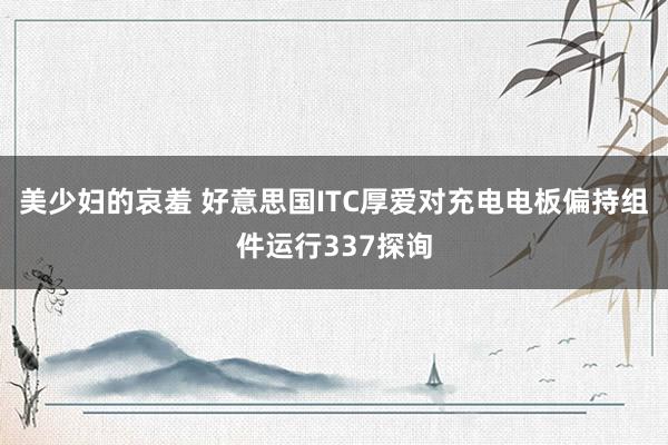 美少妇的哀羞 好意思国ITC厚爱对充电电板偏持组件运行337探询