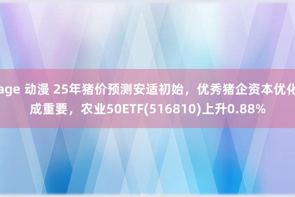 age 动漫 25年猪价预测安适初始，优秀猪企资本优化成重要，农业50ETF(516810)上升0.88%