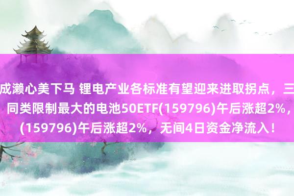 成濑心美下马 锂电产业各标准有望迎来进取拐点，三花智控盘中涨超6%，同类限制最大的电池50ETF(159796)午后涨超2%，无间4日资金净流入！