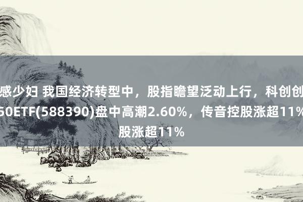 性感少妇 我国经济转型中，股指瞻望泛动上行，科创创业50ETF(588390)盘中高潮2.60%，传音控股涨超11%