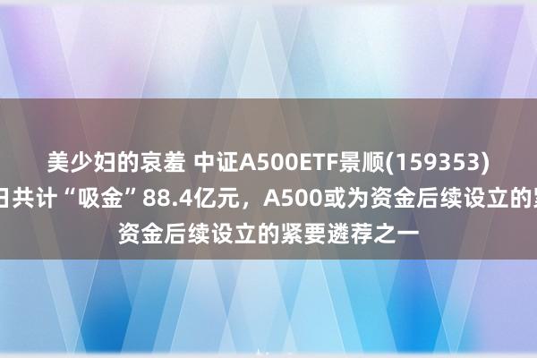 美少妇的哀羞 中证A500ETF景顺(159353)近20个来回日共计“吸金”88.4亿元，A500或为资金后续设立的紧要遴荐之一