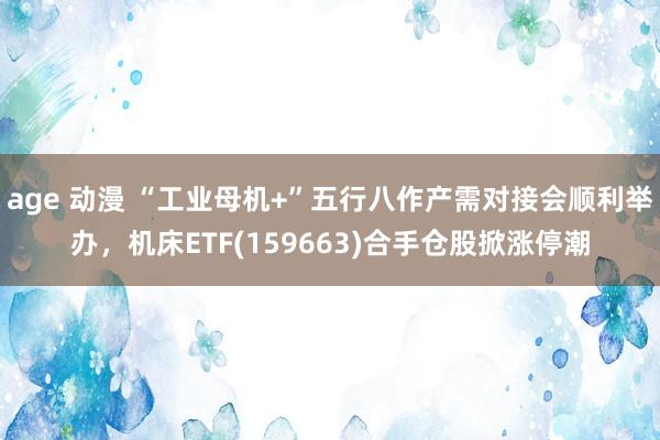 age 动漫 “工业母机+”五行八作产需对接会顺利举办，机床ETF(159663)合手仓股掀涨停潮