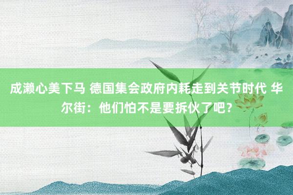 成濑心美下马 德国集会政府内耗走到关节时代 华尔街：他们怕不是要拆伙了吧？