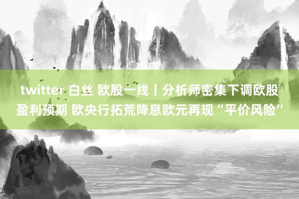 twitter 白丝 欧股一线丨分析师密集下调欧股盈利预期 欧央行拓荒降息欧元再现“平价风险”