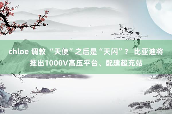 chloe 调教 “天使”之后是“天闪”？ 比亚迪将推出1000V高压平台、配建超充站