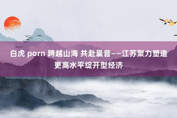 白虎 porn 跨越山海 共赴曩昔——江苏聚力塑造更高水平绽开型经济
