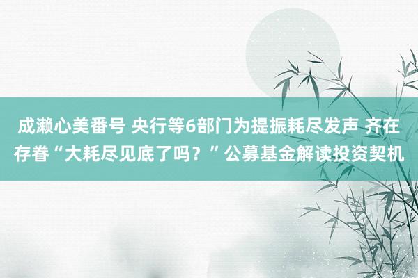 成濑心美番号 央行等6部门为提振耗尽发声 齐在存眷“大耗尽见底了吗？”公募基金解读投资契机