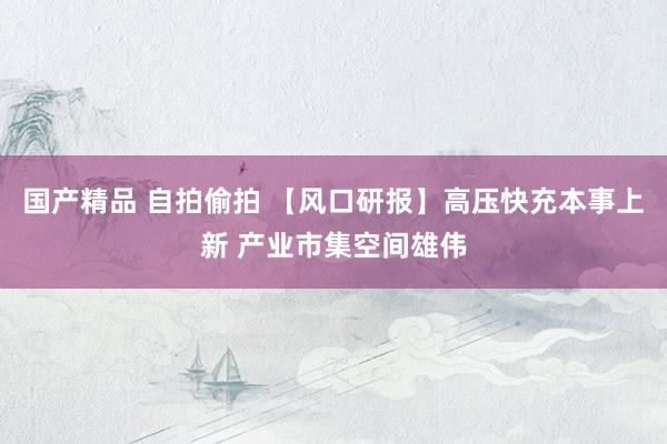 国产精品 自拍偷拍 【风口研报】高压快充本事上新 产业市集空间雄伟