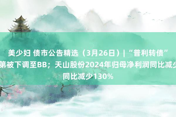 美少妇 债市公告精选（3月26日）| “普利转债”信用等第被下调至BB；天山股份2024年归母净利润同比减少130%